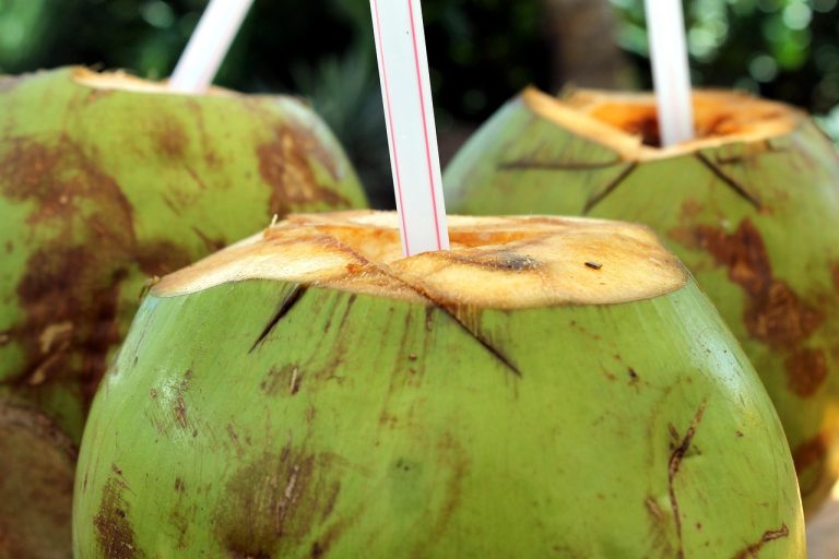 Coco (Água): Eletrólitos e Hidratação Natural